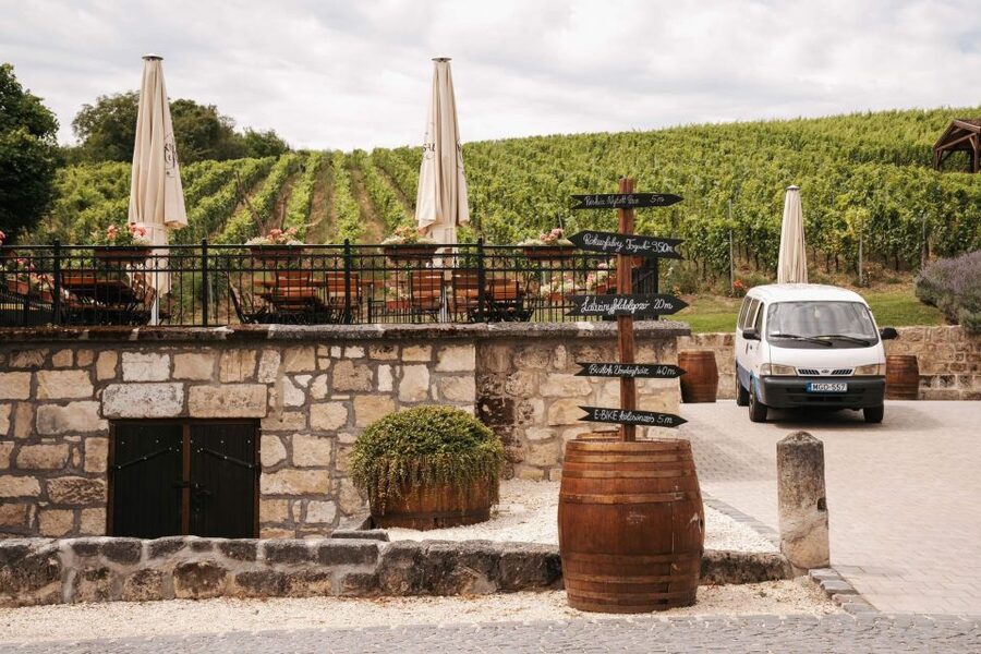 Guided wine tasting at Rókusfalvy Estate - A vineyard tasting close to Budapest