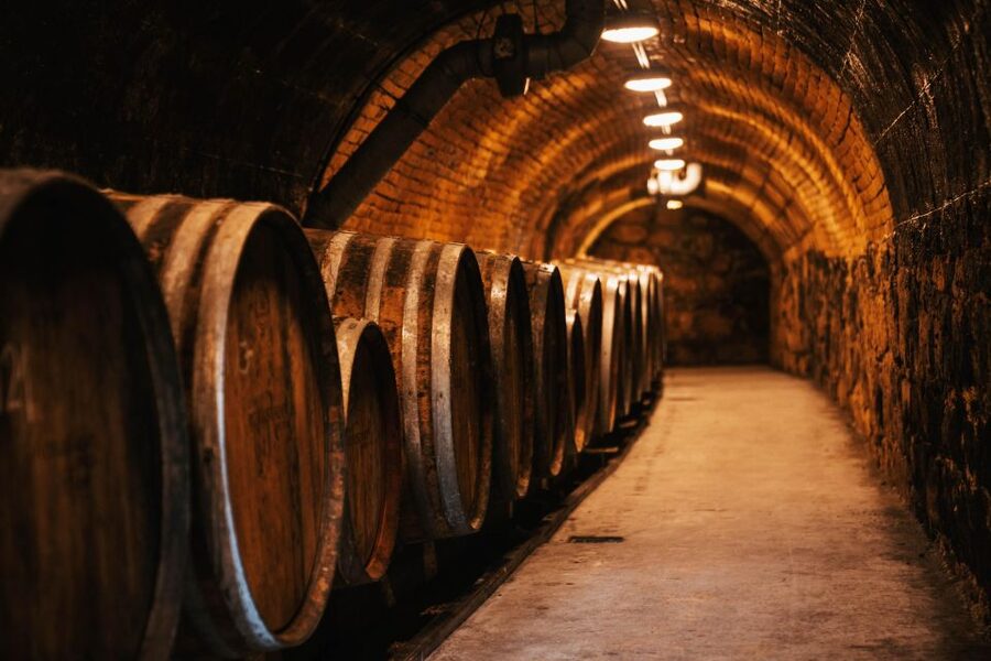 Guided wine tasting at Rókusfalvy Estate - Who should book Rókusfalvy Estate?