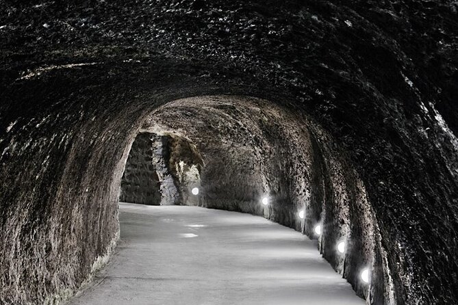 Half Day Tokaj Wine Tasting Tour in Mád Hungary with lunch - What the $289.65 price includes