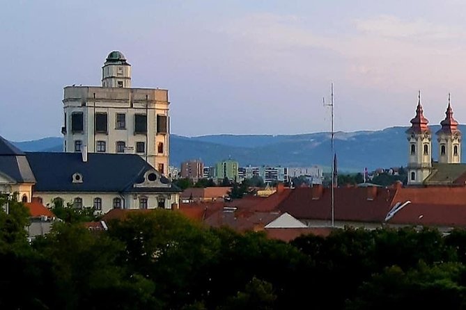 Home to Bull's Blood red wine! Eger with winetaste private tour - What the private guide changes