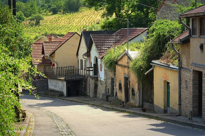 Home to Bull's Blood red wine! Eger with winetaste private tour - The $420 price and what you receive