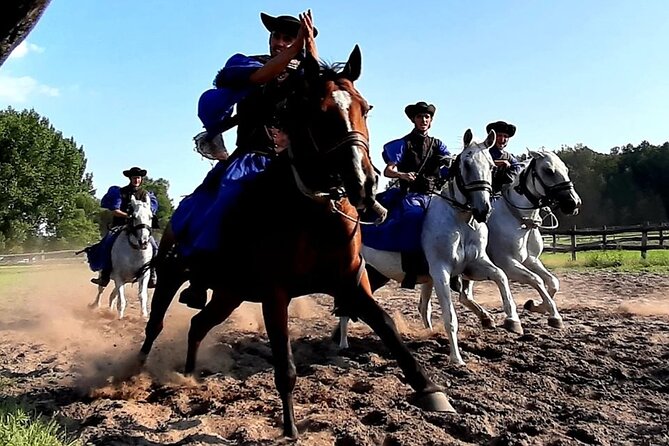 Horseshow on the Hungarian Puszta, private tour from Budapest with entry! - Hungarian lunch and wine during the park visit
