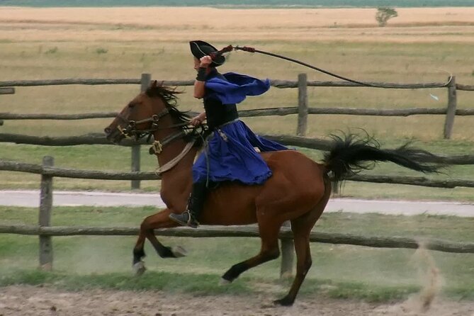 Horseshow on the Hungarian Puszta, private tour from Budapest with entry! - Who will enjoy this outing most