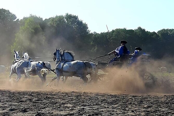 Horseshow on the Hungarian Puszta, private tour from Budapest with entry! - Booking, timing, and cancellation advice