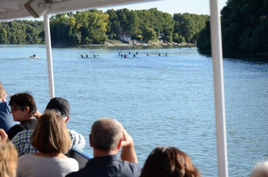 Hungary: Full-Day Private Danube Bend Tour - The return trip by boat or bus