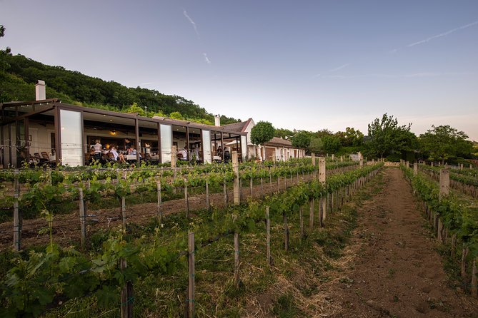 Lake Balaton Full Day Private Wine Tour - What the private format adds