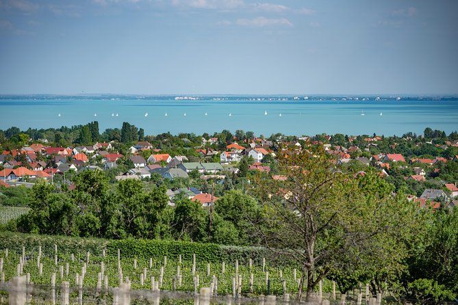 Lake Balaton Full Day Private Wine Tour - Lunch between the lake stops