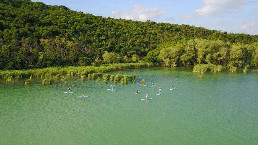 Lake Balaton: Paddle Board Tour of Tihany National Park - Key points to know before booking