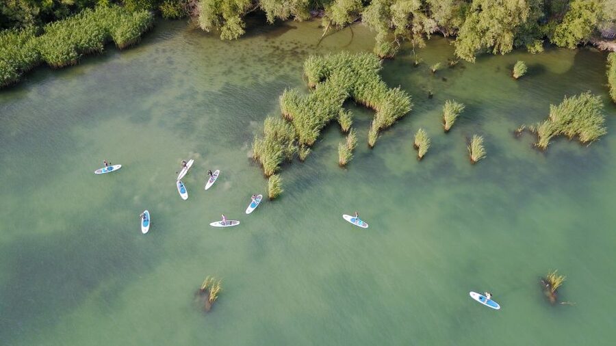 Lake Balaton: Paddle Board Tour of Tihany National Park - Starting at Club Tihany near the ferry
