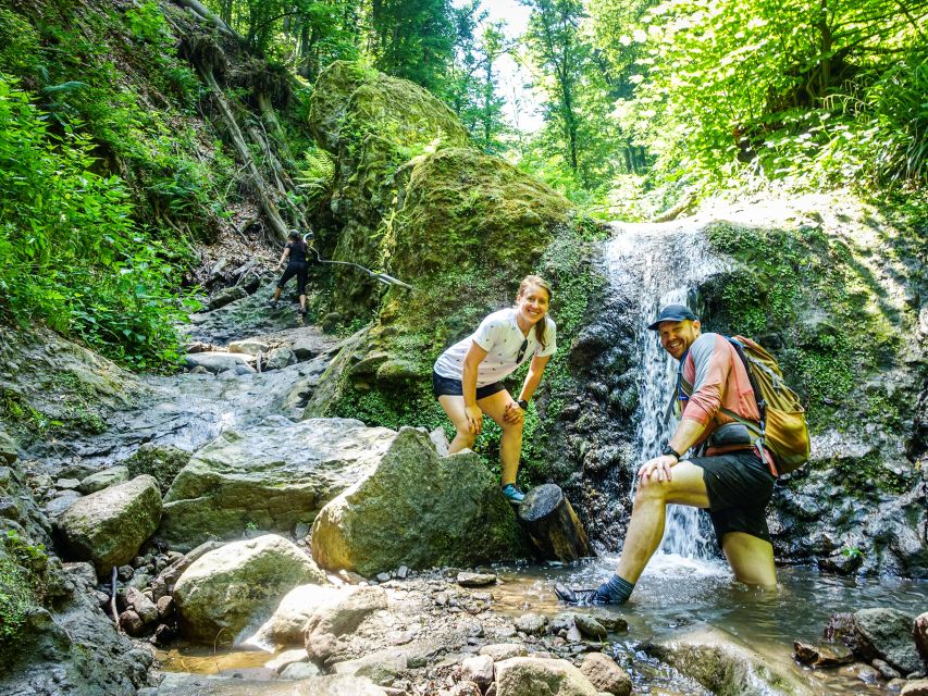 One Day Wonder Hike - The Essence of the Danube Bend - The downhill route through the forest