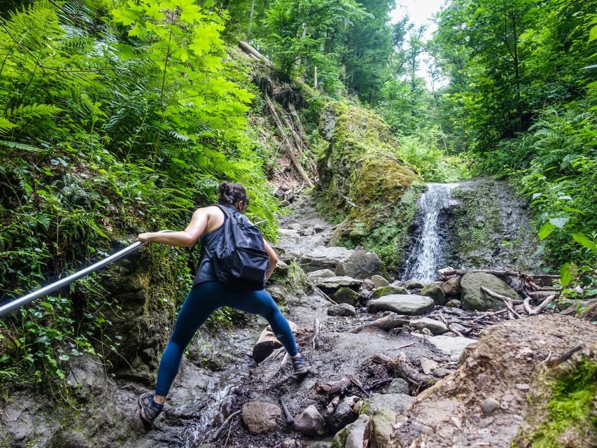 One Day Wonder Hike - The Essence of the Danube Bend - Who should book this hike?