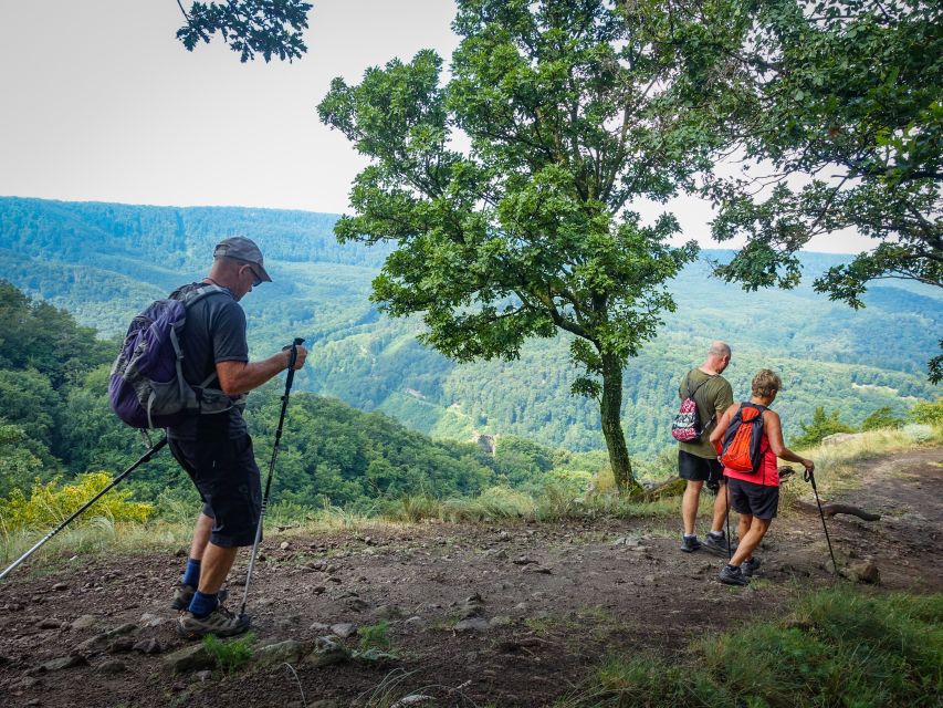 One Day Wonder Hike - The Essence of the Danube Bend - The first climb is the day’s honest warning