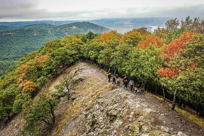 One Day Wonder Hiking Trip - The return through the forest