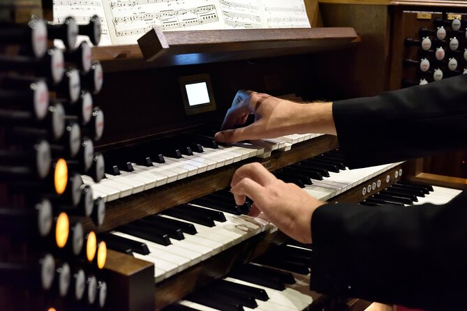 Organ Concert in the St. Stephen's Basilica - Why the Acoustics Matter More Than the View