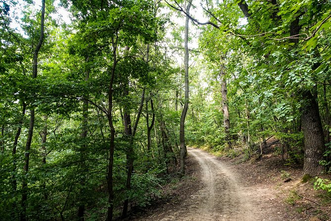 Panoramic hike around Budapest - Hárs-Hegy and wide views over the city