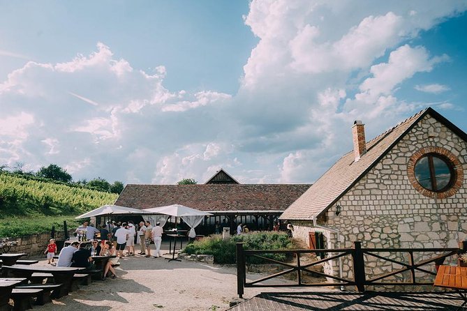 Private Etyek Wine tour with dinner including a Budapest Danube Evening Cruise - Should you book the Etyek wine and Danube evening?
