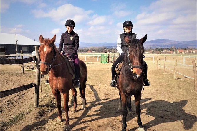 Private Horse Riding near Budapest with transport - Key points to know before booking