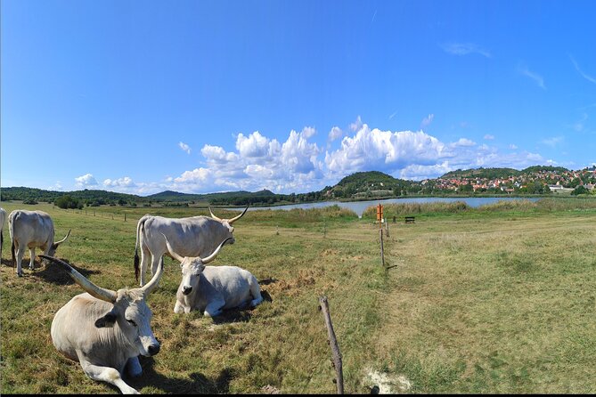Private tour from Budapest to a top hidden treasure region of Europe: Lake Balaton - A private ride with Attila or Balazs