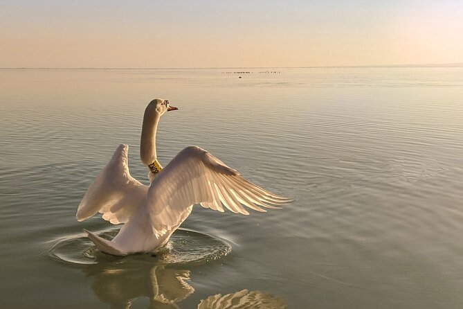 Private tour from Budapest to a top hidden treasure region of Europe: Lake Balaton - The Szántód to Tihany ferry finishes the loop