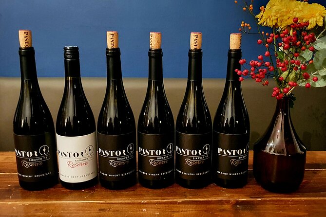 Private Wine Tasting in Budapest - Who should book this private tasting?