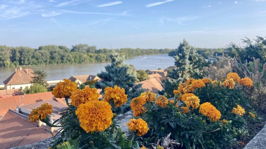 Szentendre: Arts and Cafés Tour (Half-Day Private Tour) - A comfortable start from your Budapest hotel