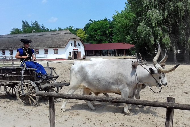 The "Puszta" Horse Show - The optional horseback ride