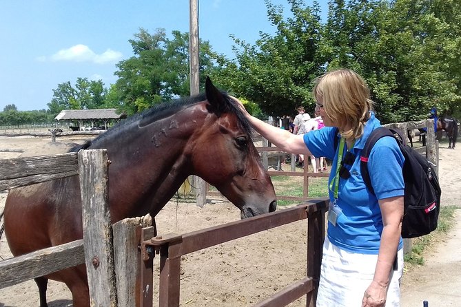 The "Puszta" Horse Show - Should you book the Puszta Horse Show?