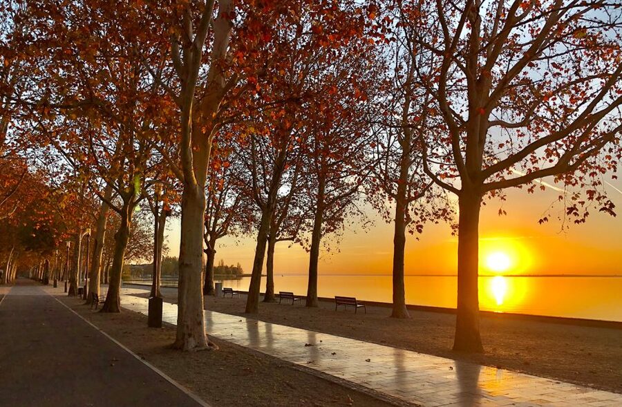 The Turquoise Sea of Hungary: Lake Balaton Private Tour - Crossing Lake Balaton by ferry