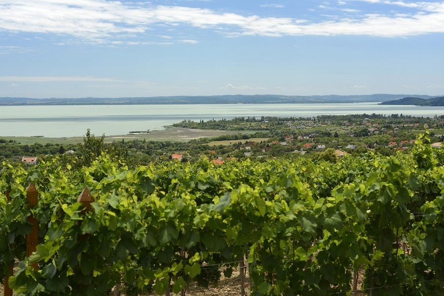 The Turquoise Sea of Hungary: Lake Balaton Private Tour - Is $235 per person a fair price?
