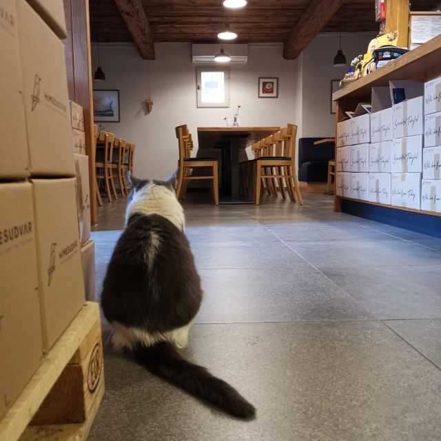 Tokaj: Classic Wine Tasting - Should you book the Hímesudvar tasting?