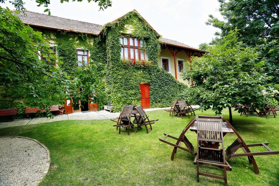 Tokaj: Classic Wine Tasting - What the Hímesudvar team explains