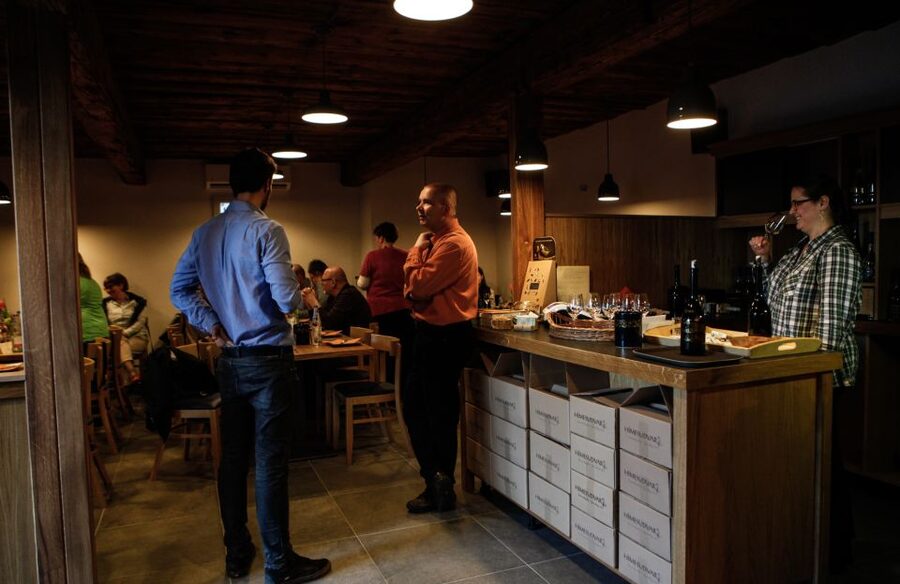 Tokaj: Classic Wine Tasting - How the short itinerary works
