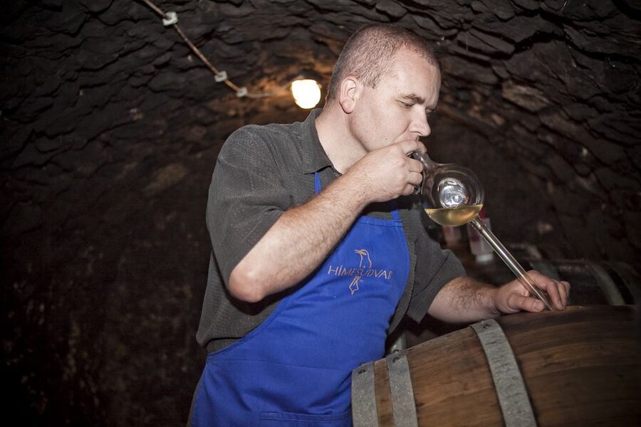 Tokaj: Classic Wine Tasting - Who will enjoy this tasting most