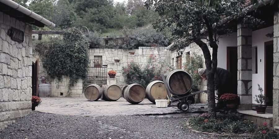 Tokaj Private Day Tour from Budapest - Key points to know before booking