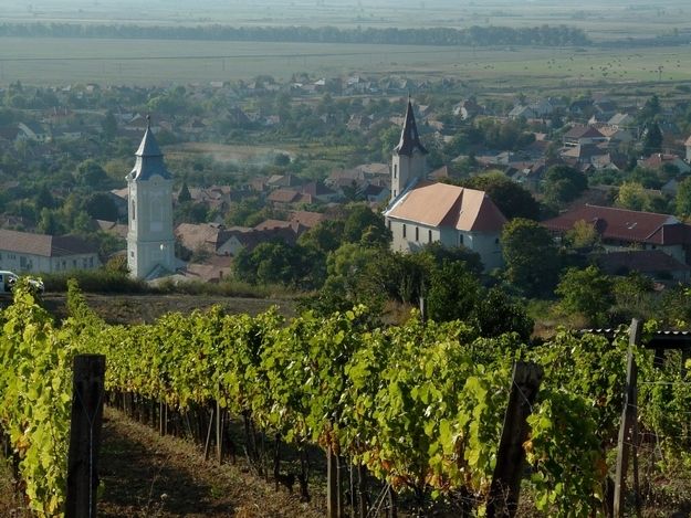 Tokaj Private Day Tour from Budapest - Why Tokaj deserves a full day from Budapest
