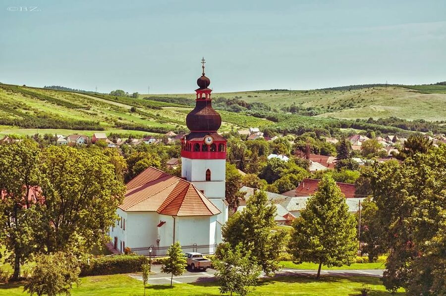 Tokaj Private Day Tour from Budapest - Tasting regional wines with snacks