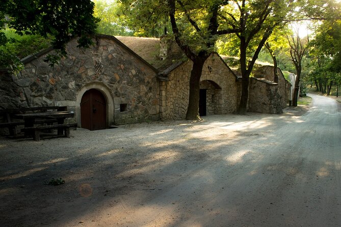 Wine Tasting in the Countryside from Budapest - The drive to the old cellar village
