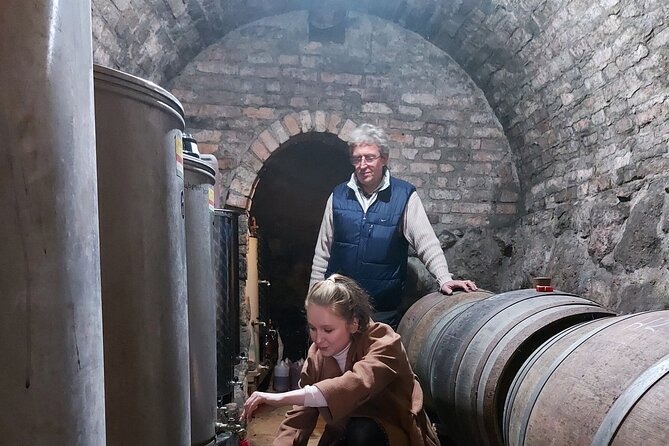 Wine Tasting in the Countryside from Budapest - What makes the small group worthwhile